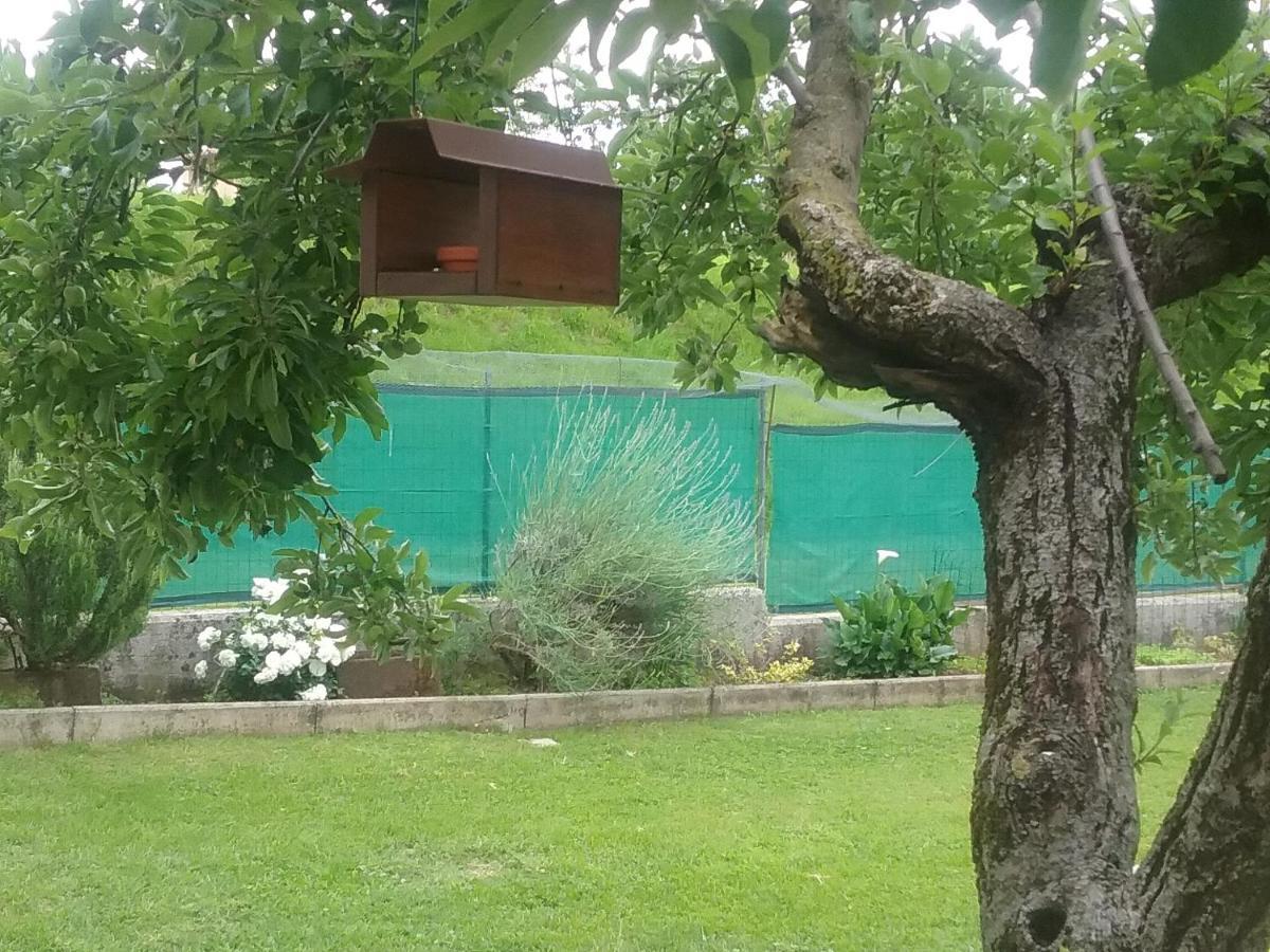 B&B Cuore San Daniele del Friuli Buitenkant foto